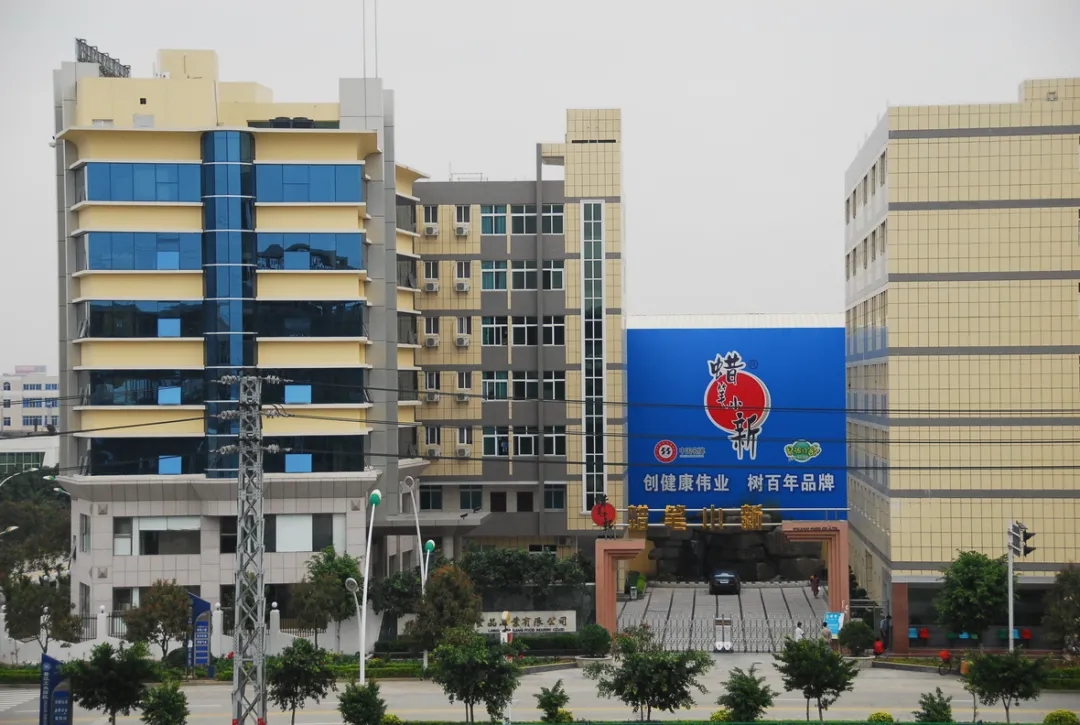 蜡笔小新蓝凌数字化办公平台项目启动会