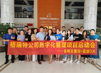 格瑞特公司数字化管理项目启动会